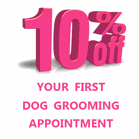 Get 10% off your first dog grooming appointment