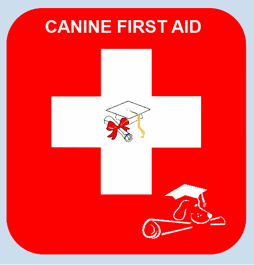 Dog First Aid course Manchester