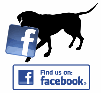 Find Henna's Happy Hounds on Facebook
