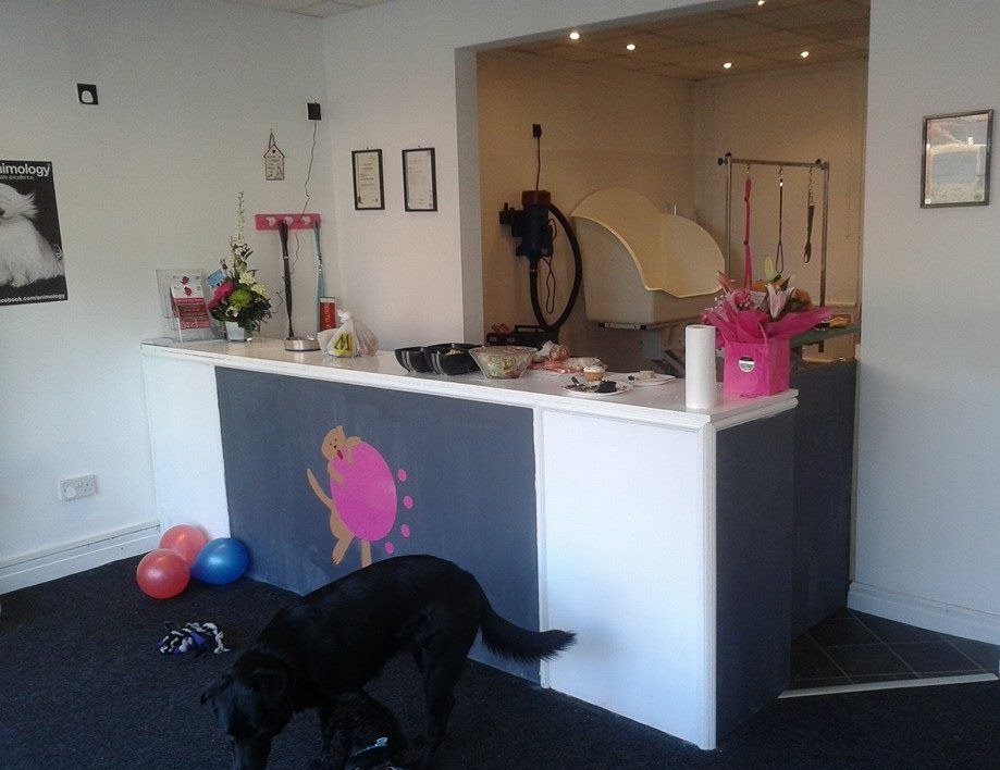 Dog grooming salon, Thornton-Cleveleys